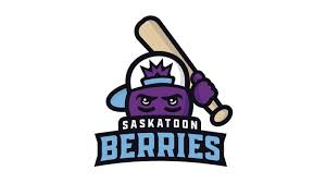 Saskatoon Berries